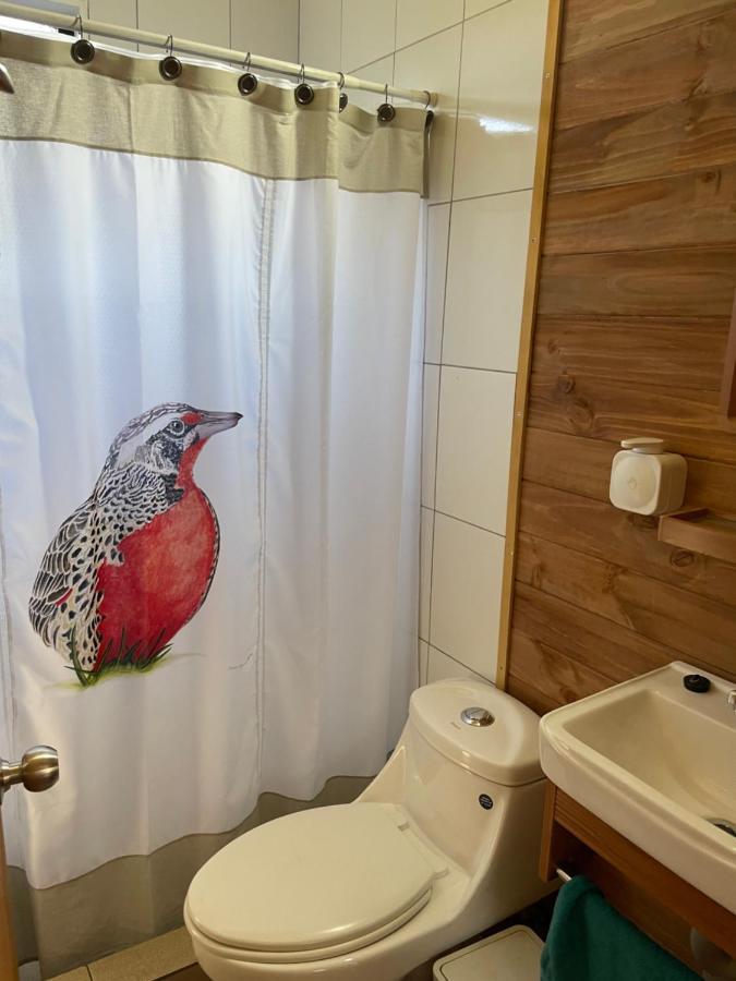 הוילה פוקון Cabana Loica מראה חיצוני תמונה